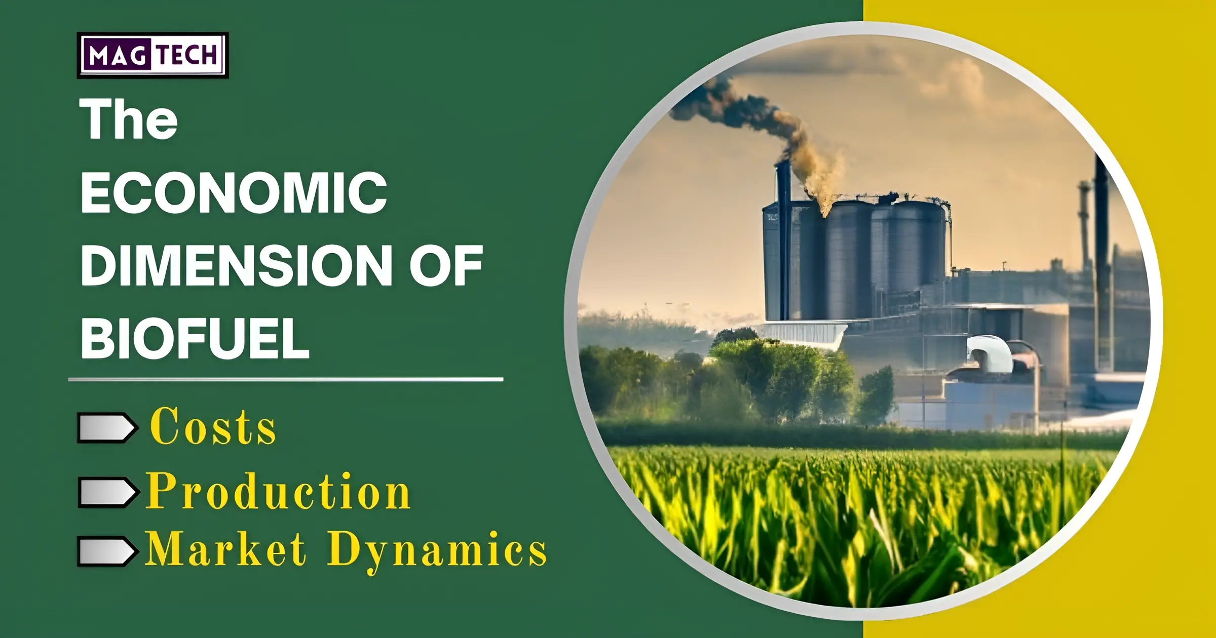 A visual representation of dimension the economic of biofuel, showcasing the financial aspects of biofuel production and consumption.