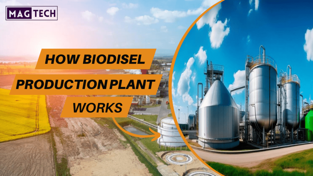 Biodiesel Production Plant